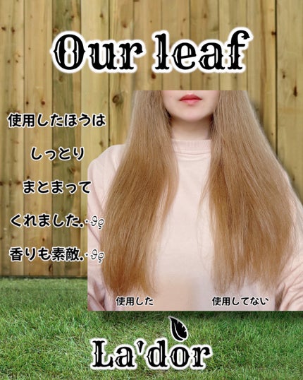 パフュームヘアオイル アワーリーフ/La'dor/ヘアオイルを使ったクチコミ(3枚目)