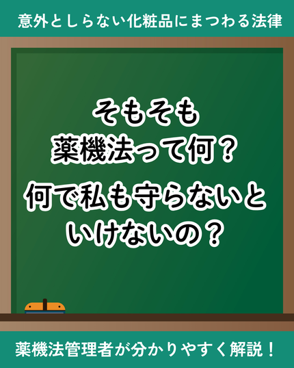 せりぽよ┋30歳ブルベ冬┋薬機法×美容ライター on LIPS 「\化粧品をレビューするなら知らないとヤバい!/化粧品好きなら知..」(1枚目)