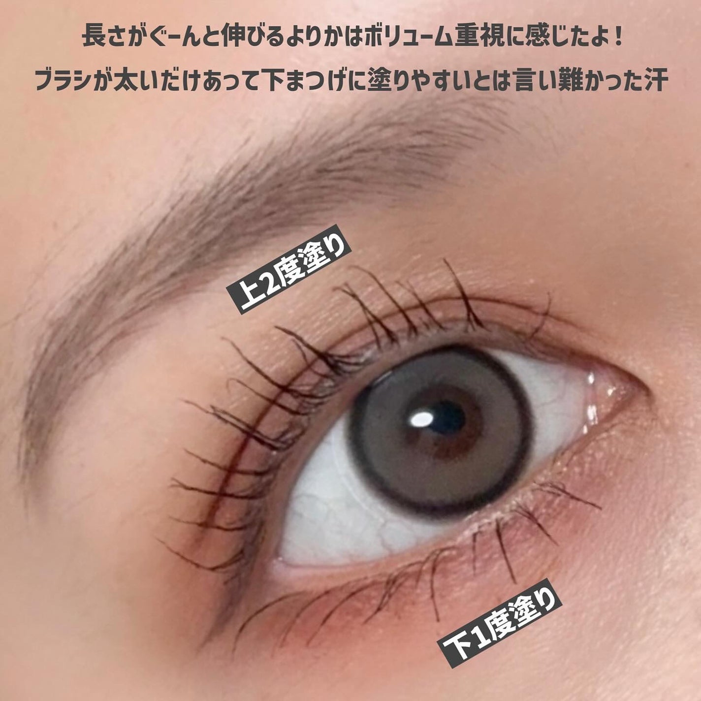防水カーリングマスカラ/ZEESEA/マスカラを使ったクチコミ(3枚目)
