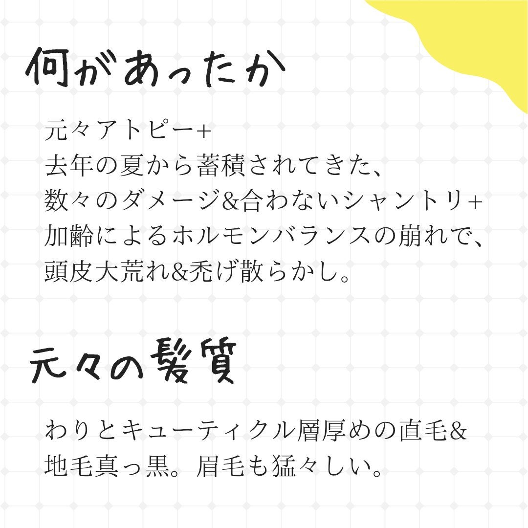 ハホニコ プロ ラメイ プロトメント/HAHONICO/洗い流すヘアトリートメントを使ったクチコミ(2枚目)