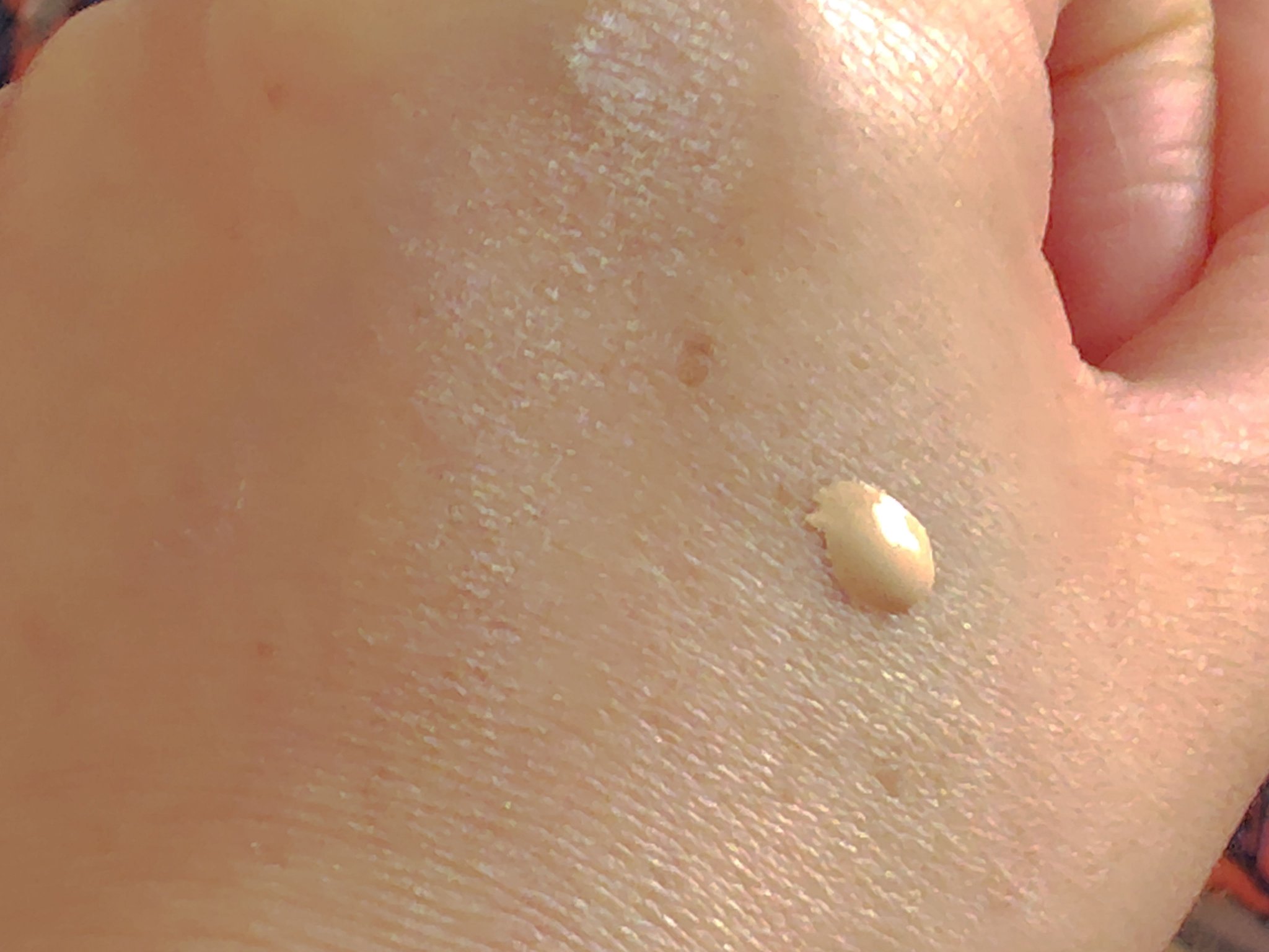 インウイ リキッドファンデーション 01/INOUI/リキッドファンデーションを使ったクチコミ（3枚目）