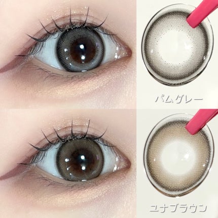 Mechu Mechu/Mechu Mechu /ワンデー(1DAY)カラコンを使ったクチコミ(2枚目)