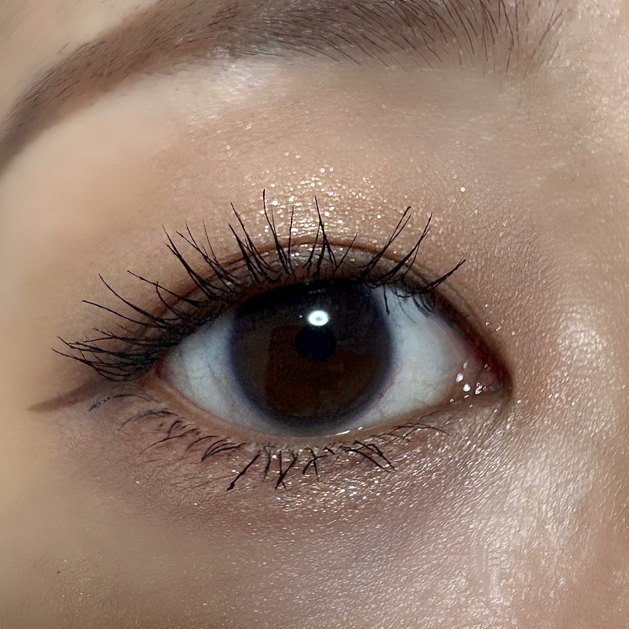 ベターミーアイパレット/2aN/マルチパレットを使ったクチコミ（3枚目）