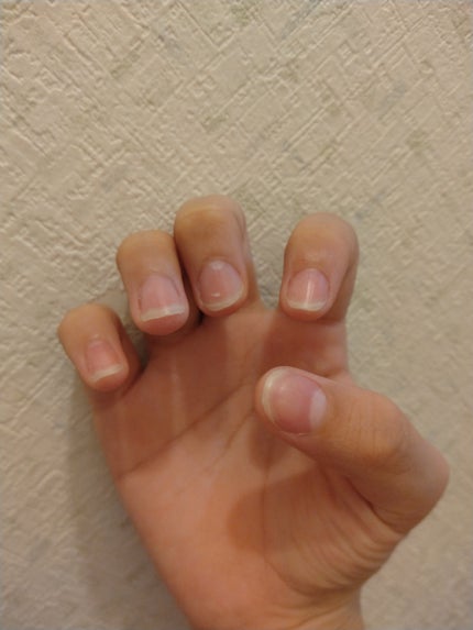 を使ったクチコミ(1枚目)