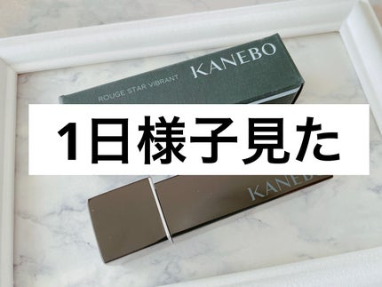 ルージュスターヴァイブラント/KANEBO/口紅を使ったクチコミ(1枚目)