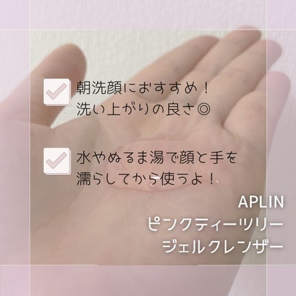 ピンクティーツリージェルクレンザー/APLIN/洗顔フォームを使ったクチコミ(3枚目)