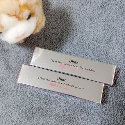 オーバーロードリップグレイズ/Dinto/口紅を使ったクチコミ(1枚目)