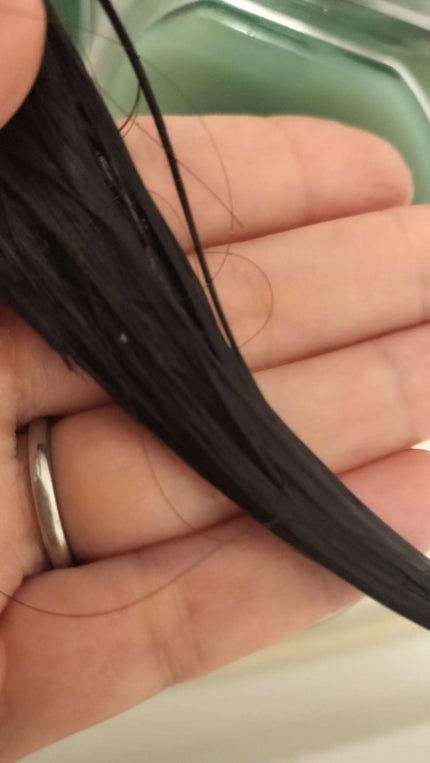 サボンドサボタ モイストプランプシャンプー/ヘアトリートメント/Savon du Savota/シャンプー・コンディショナーを使ったクチコミ(5枚目)