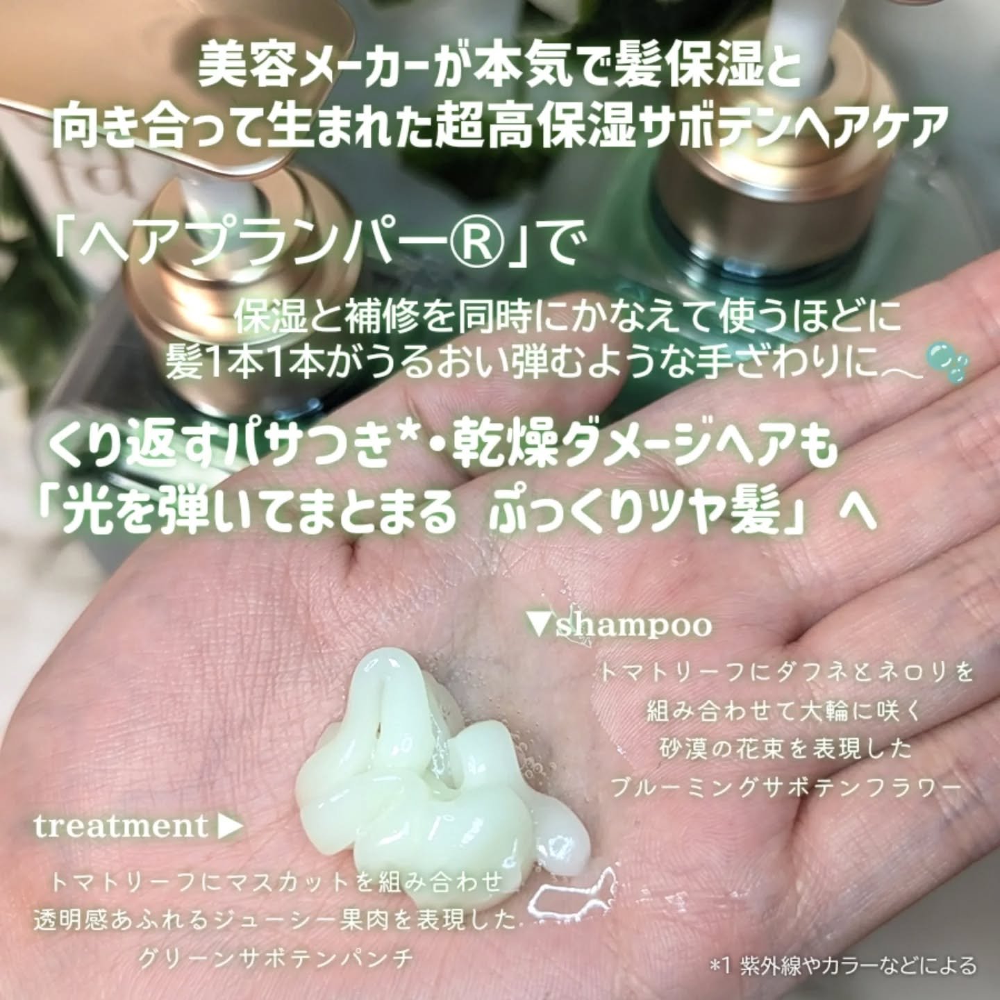 サボンドサボタ　サボテンスクラブスケーラー/Savon du Savota/ヘッドスクラブを使ったクチコミ（3枚目）