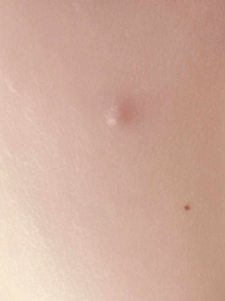 スキン ハーモナイザー/KANEBO/化粧水を使ったクチコミ(2枚目)