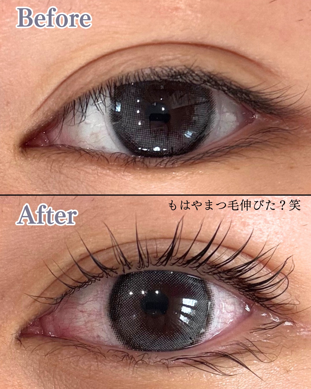 セルフまつ毛パーマキット/ICLIONE/その他キットセットを使ったクチコミ（3枚目）