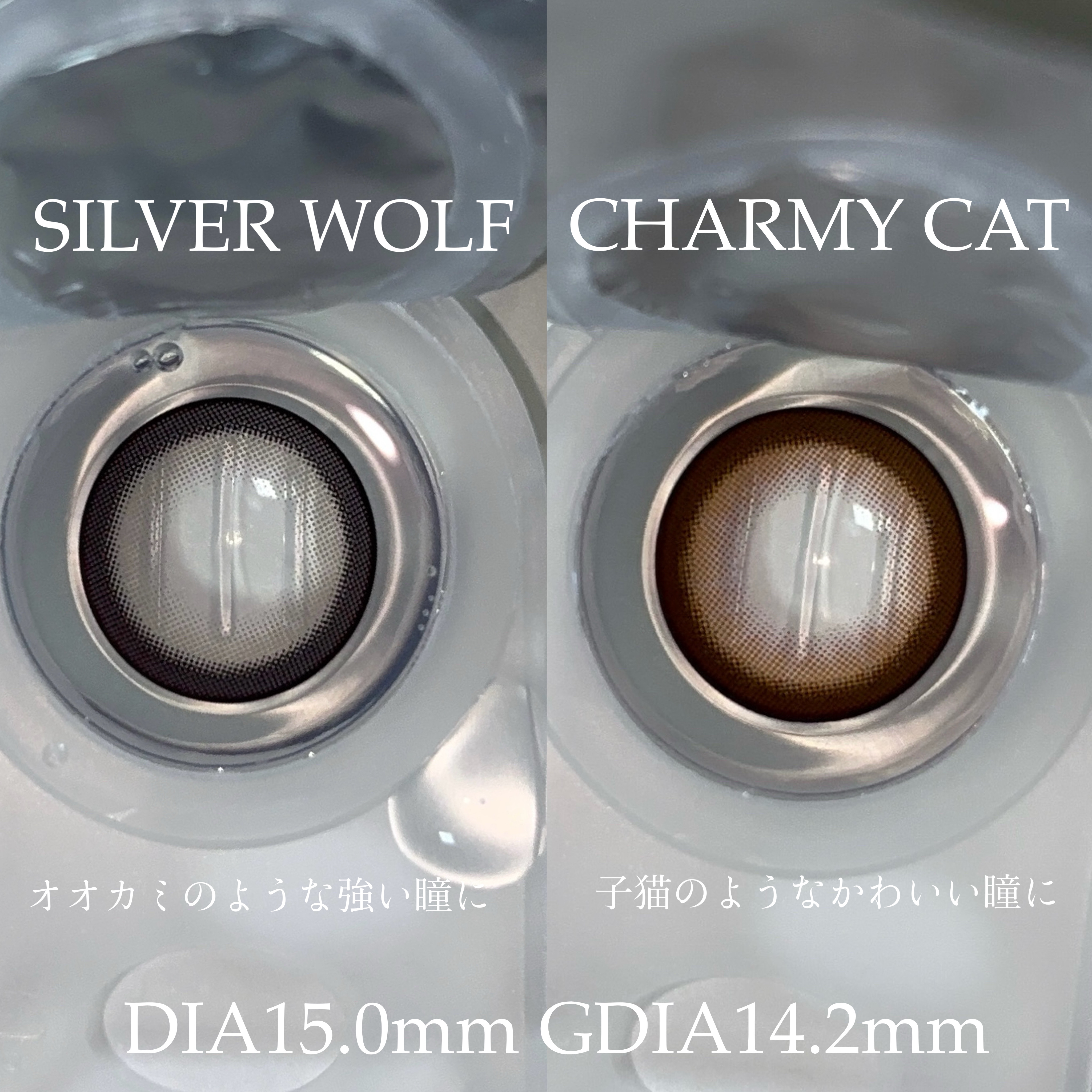 RESAY 1day/RESAY/ワンデー（１DAY）カラコンを使ったクチコミ（2枚目）