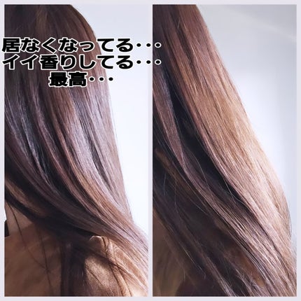 プロミルオイル N 03/Promille/ヘアオイルを使ったクチコミ(9枚目)