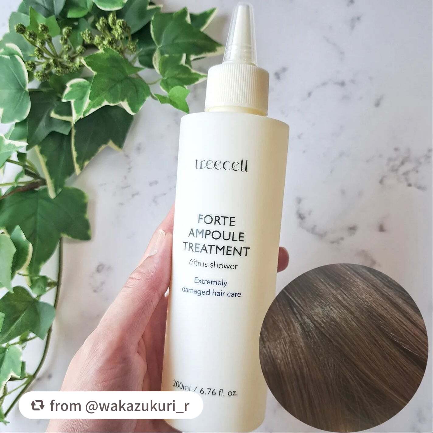 フォルテ アンプル トリートメント/treecell/洗い流すヘアトリートメントを使ったクチコミ(4枚目)