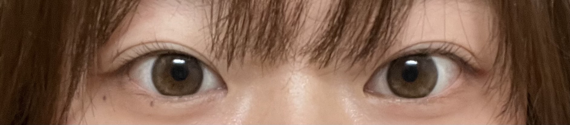 FLANMY 1day バターファッジ/FLANMY/ワンデー（１DAY）カラコンを使ったクチコミ（3枚目）