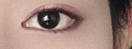 山海シリーズ 4色アイシャドウパレット 06 蝴蝶鹿 sika deer/GirlCult/アイシャドウパレットを使ったクチコミ（1枚目）