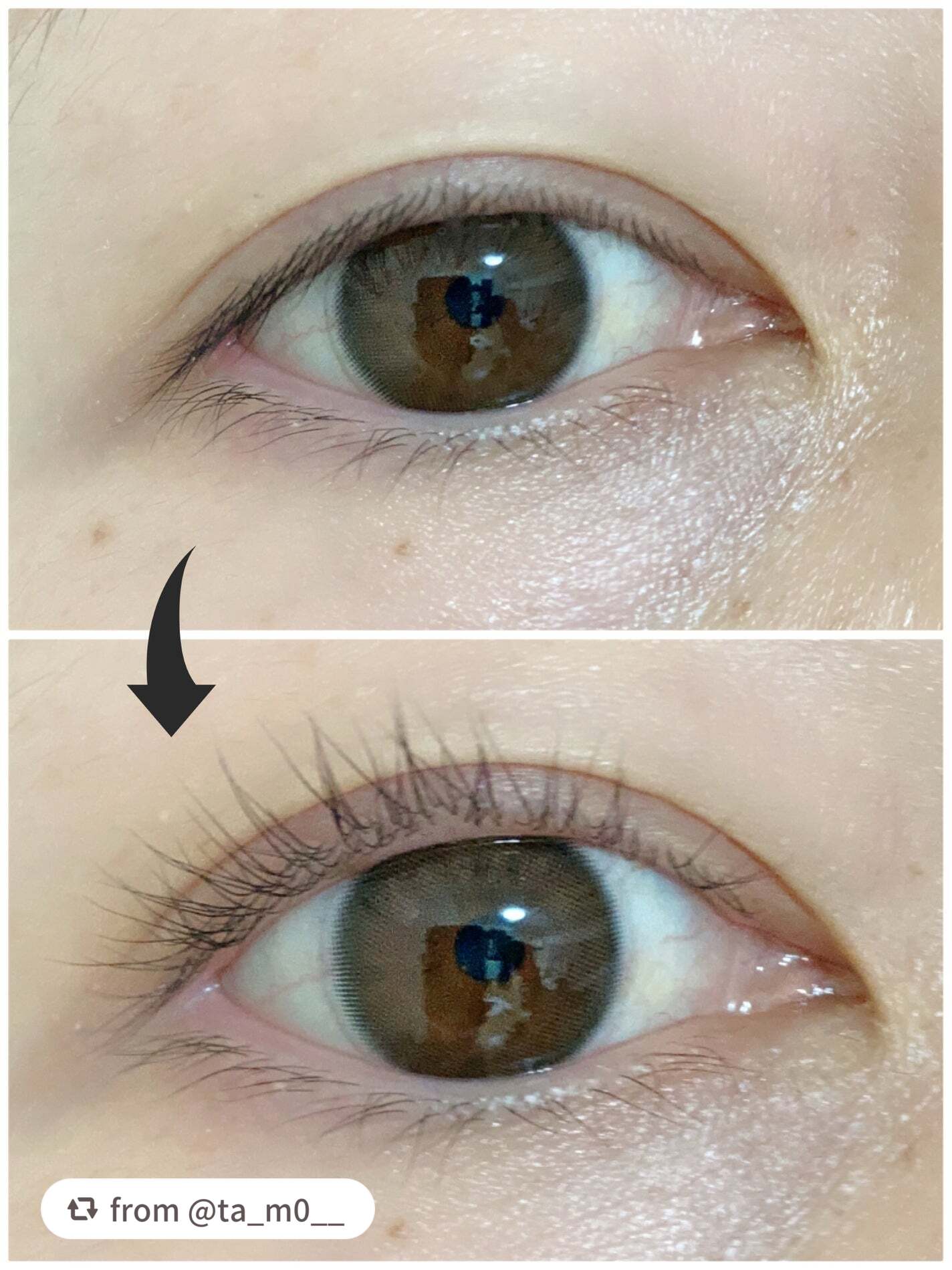 ひとえ・奥ぶたえ用カーラー/アイプチ®/ビューラーを使ったクチコミ(3枚目)