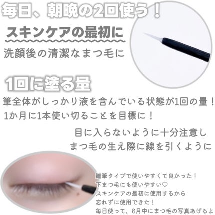 ラッシュリッチアイラッシュセラム/ロート製薬/まつげ美容液を使ったクチコミ(3枚目)