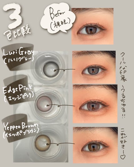 すもも on LIPS 「▥▤▥▧▦▤▥▧▦𖤣𖥧𖥣𖡡𖥧𖤣ANGÉLIQUE(アンジェリー..」(2枚目)