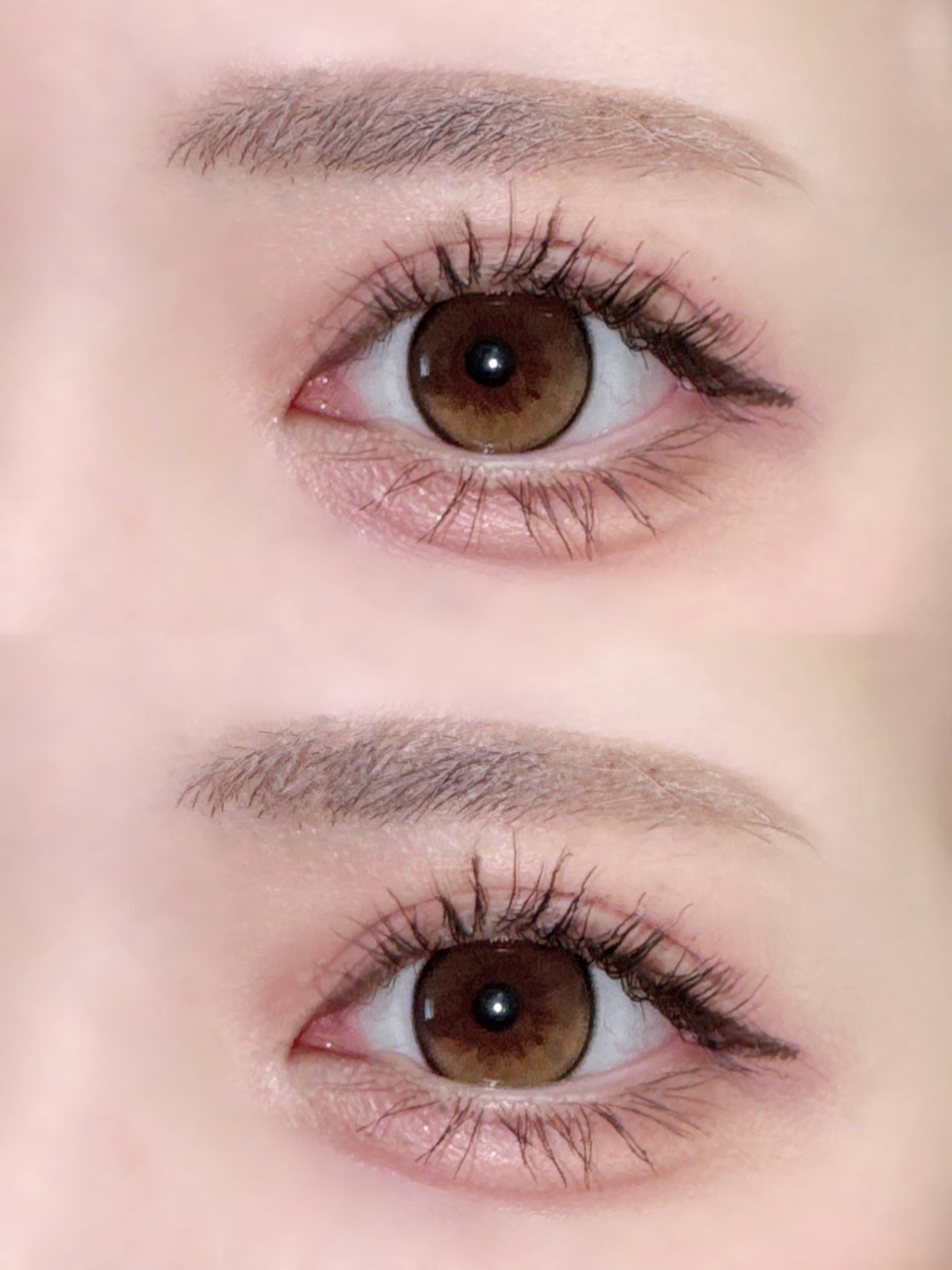 プランぷくコーデアイズNeo/キャンメイク/アイシャドウを使ったクチコミ(1枚目)