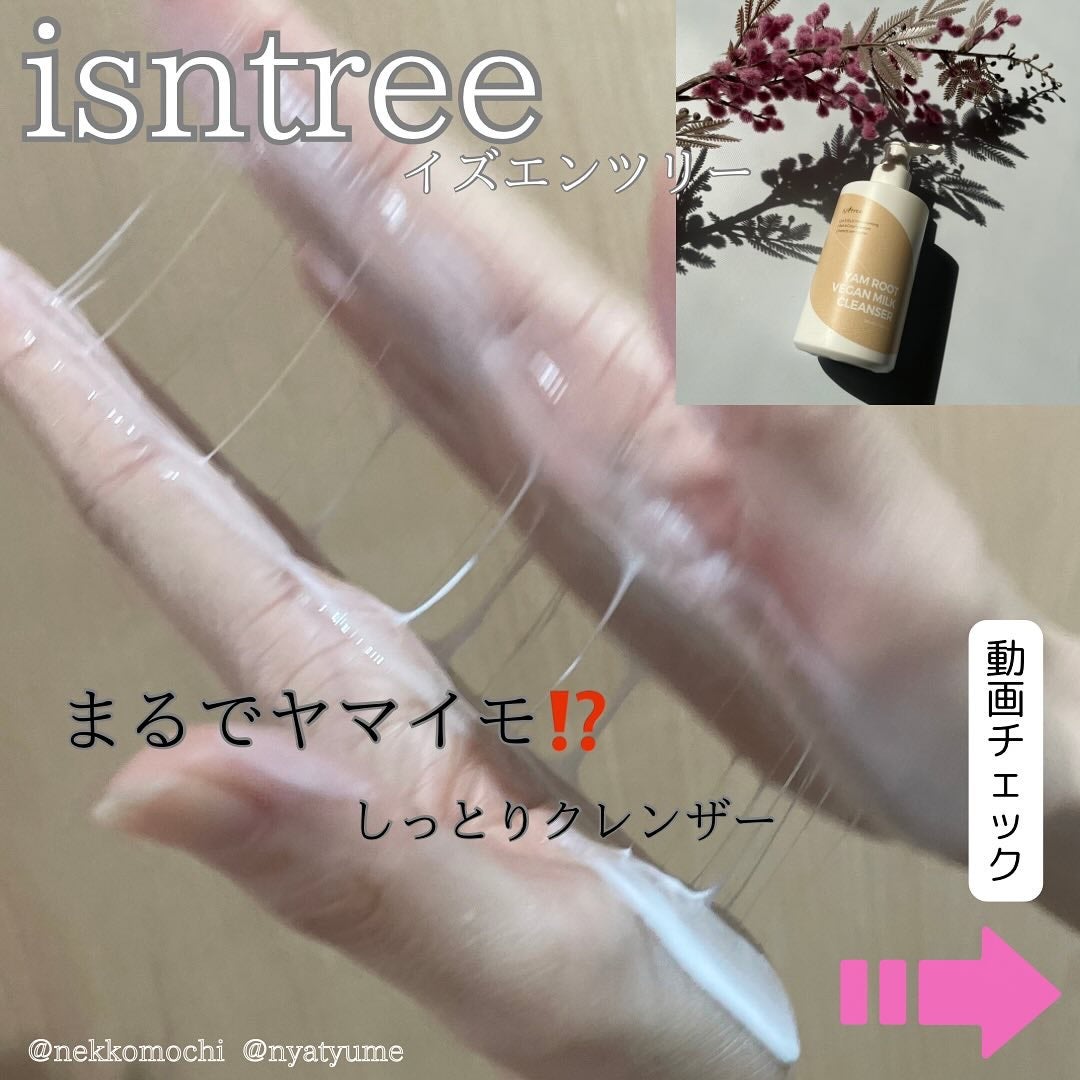 Yam Rootヴィーガンミルククレンザー/Isntree/ミルククレンジングを使ったクチコミ(1枚目)
