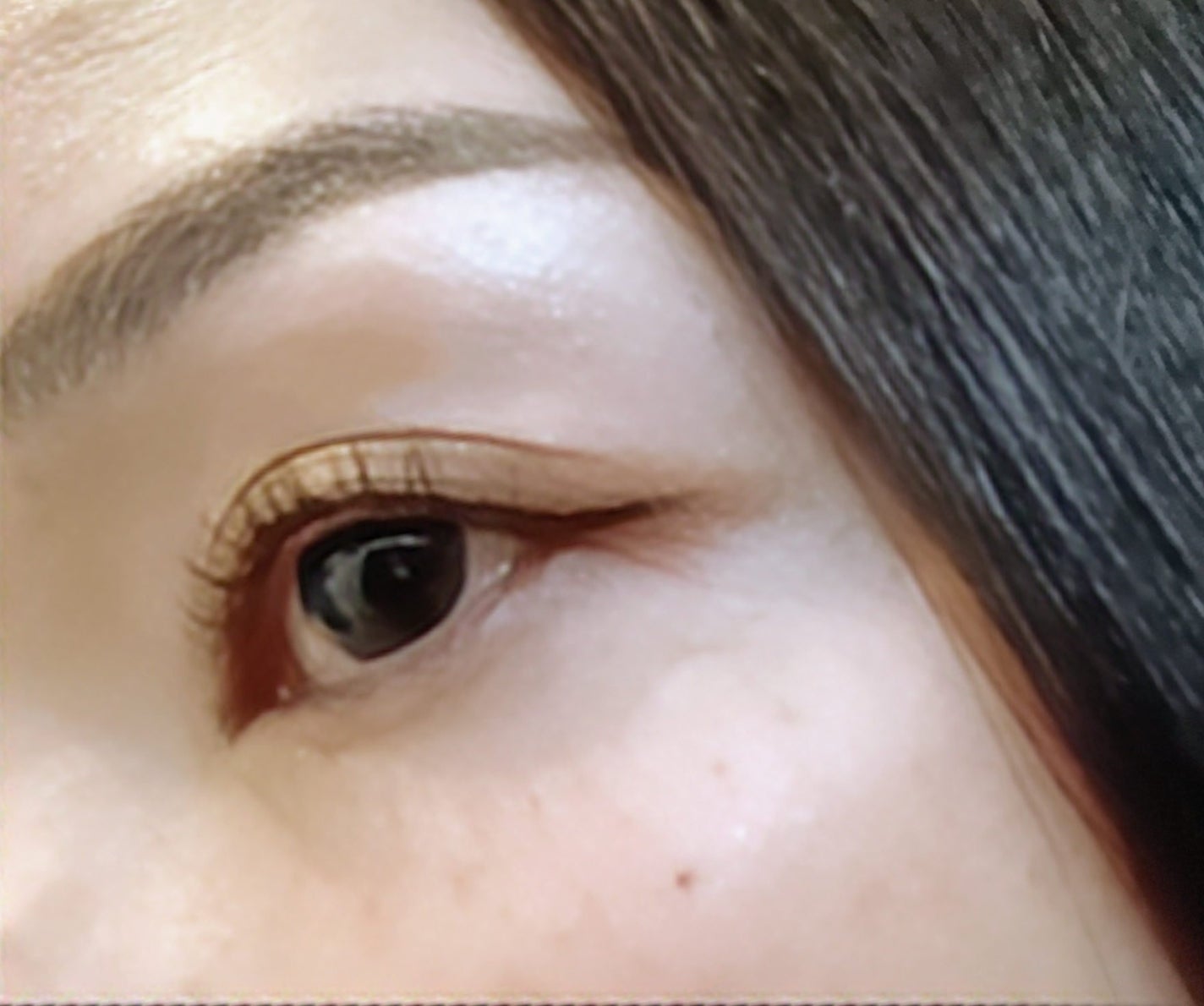 アイカラーパレットNA/Visée/アイシャドウパレットを使ったクチコミ(2枚目)