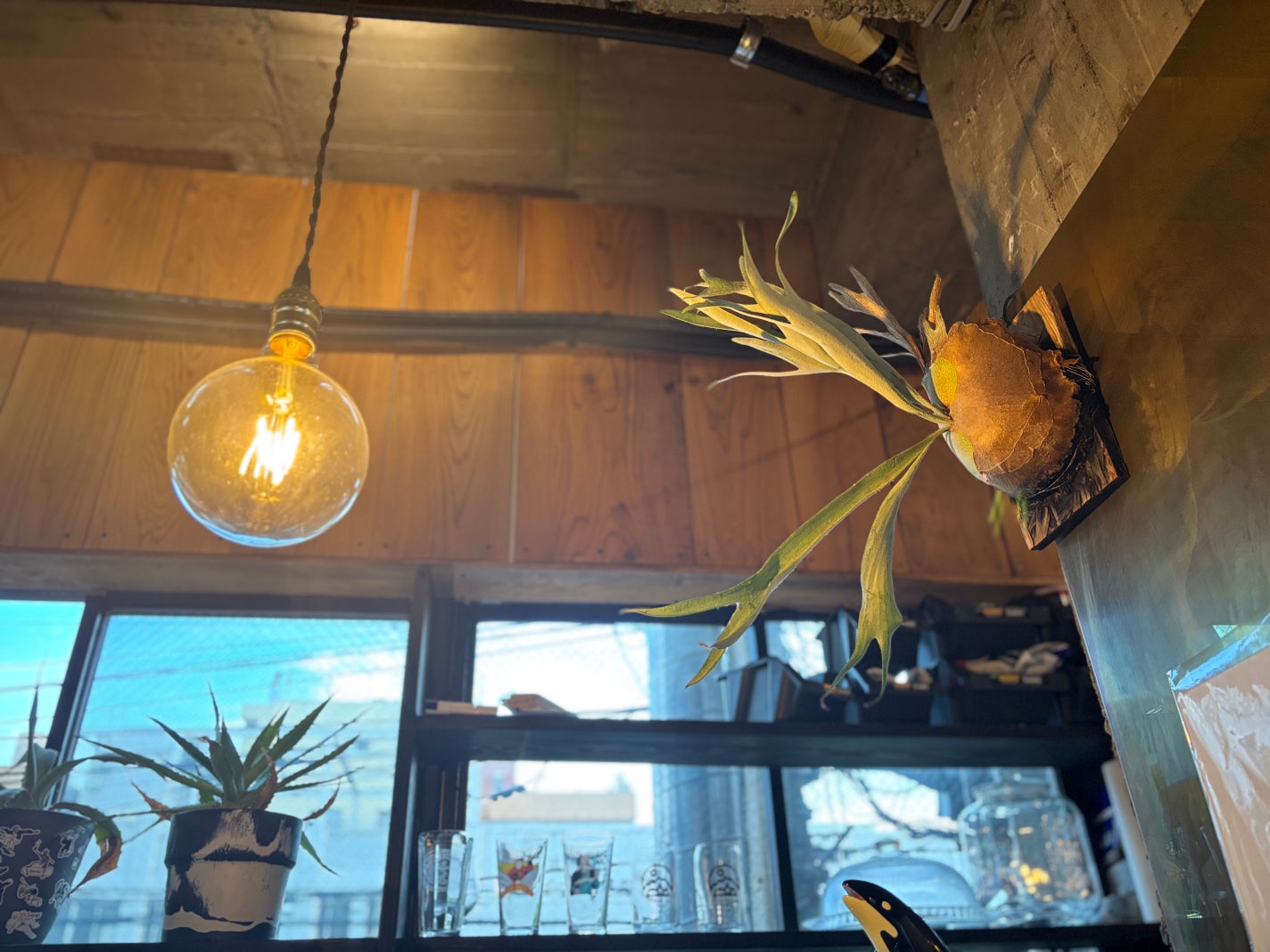 セラム シールド/ONE BY KOSE/フェイスバームを使ったクチコミ(7枚目)