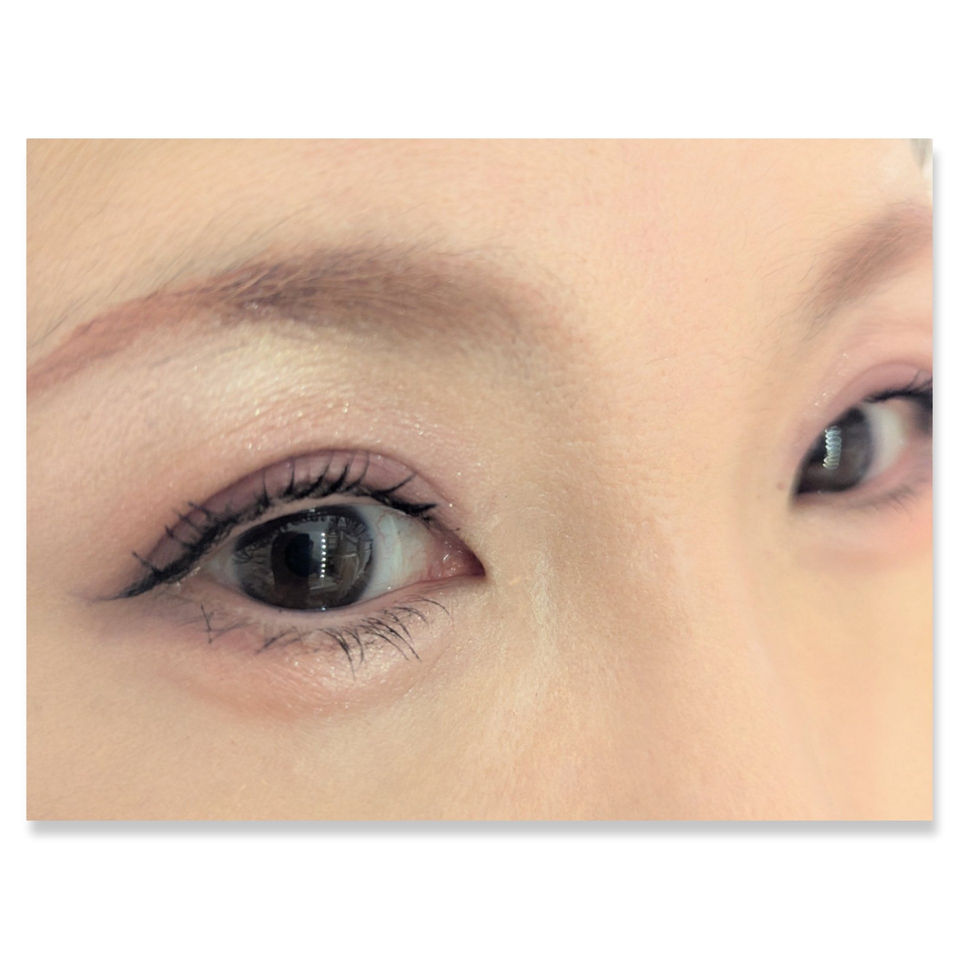 キスミー　フェルム　スタイリングアイパレット/キスミー フェルム/アイシャドウパレットを使ったクチコミ（2枚目）