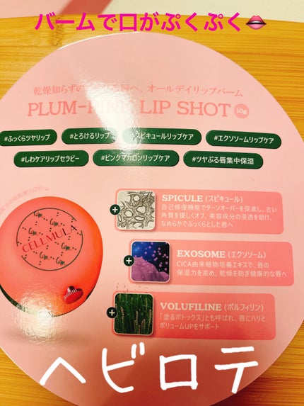 を使ったクチコミ(2枚目)