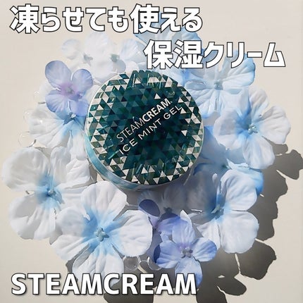 スチームクリーム アイスミント ジェル/STEAMCREAM/ボディローションを使ったクチコミ(1枚目)