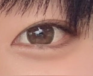 eye closet 1DAY/EYE CLOSET/ワンデー(1DAY)カラコンを使ったクチコミ(1枚目)