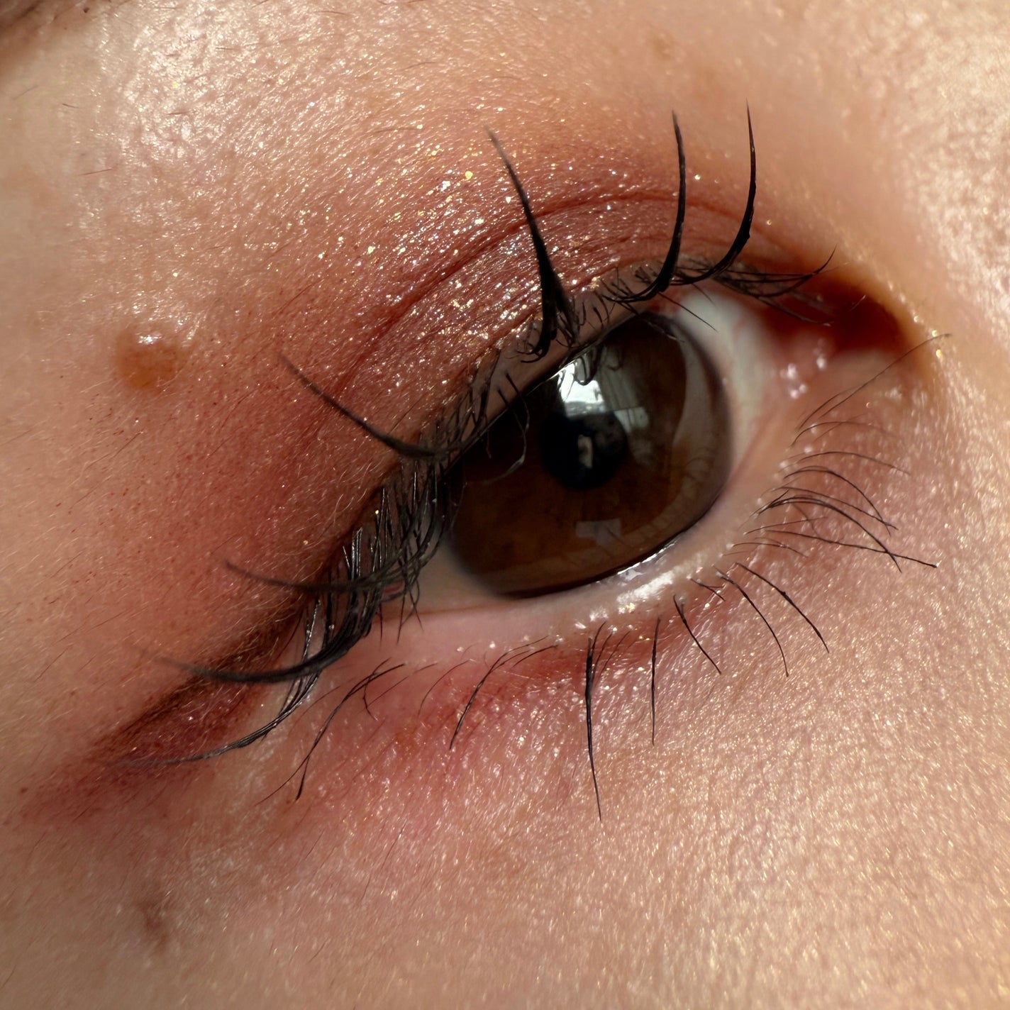 白夜と極夜シリーズシングルアイシャドウ/FlowerKnows/単色アイシャドウを使ったクチコミ(1枚目)