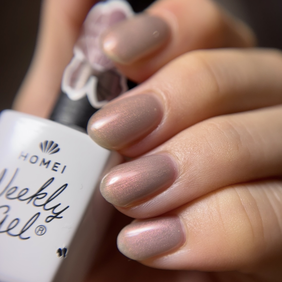 ウィークリージェル/HOMEI/ジェルネイルを使ったクチコミ（1枚目）