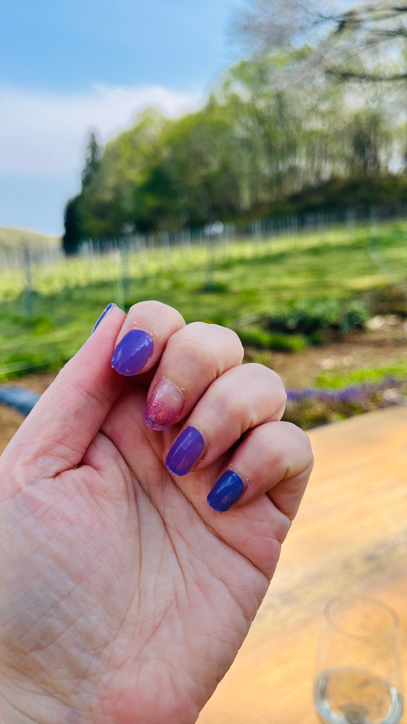 SUNNY RECIPE COLOR CHANGE GEL NAIL/SUNNY RECIPE/ネイルシールを使ったクチコミ(2枚目)