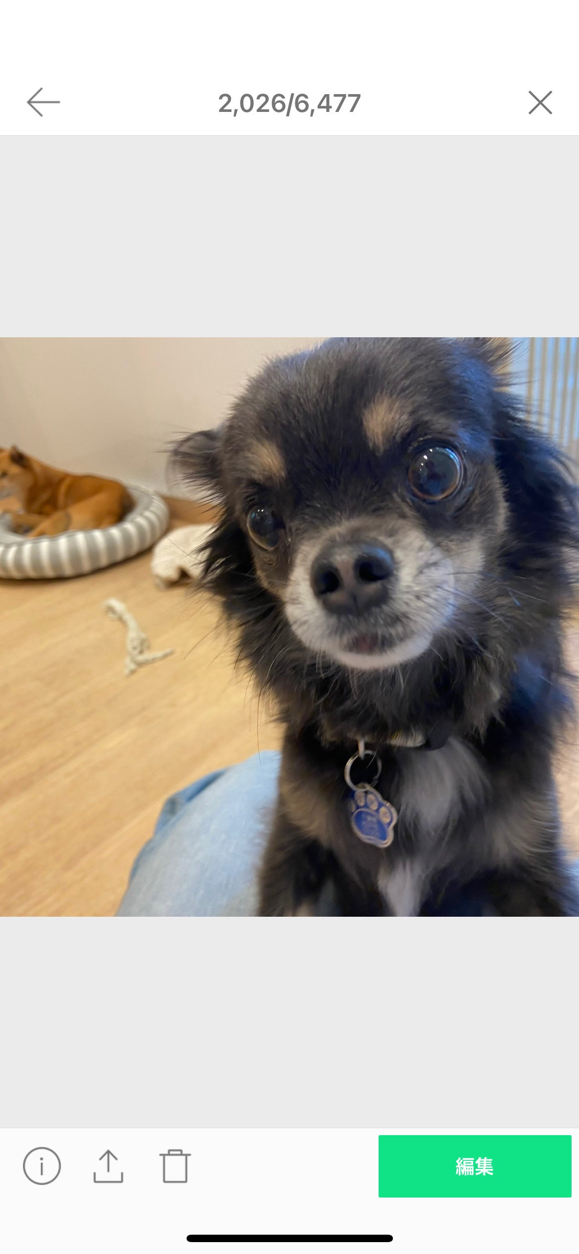 ひふみレイキ💫フォロバ♾️ on LIPS 「今日は私のLIPSネーム💡ひふみレイキオーガニックマニアについ..」(4枚目)