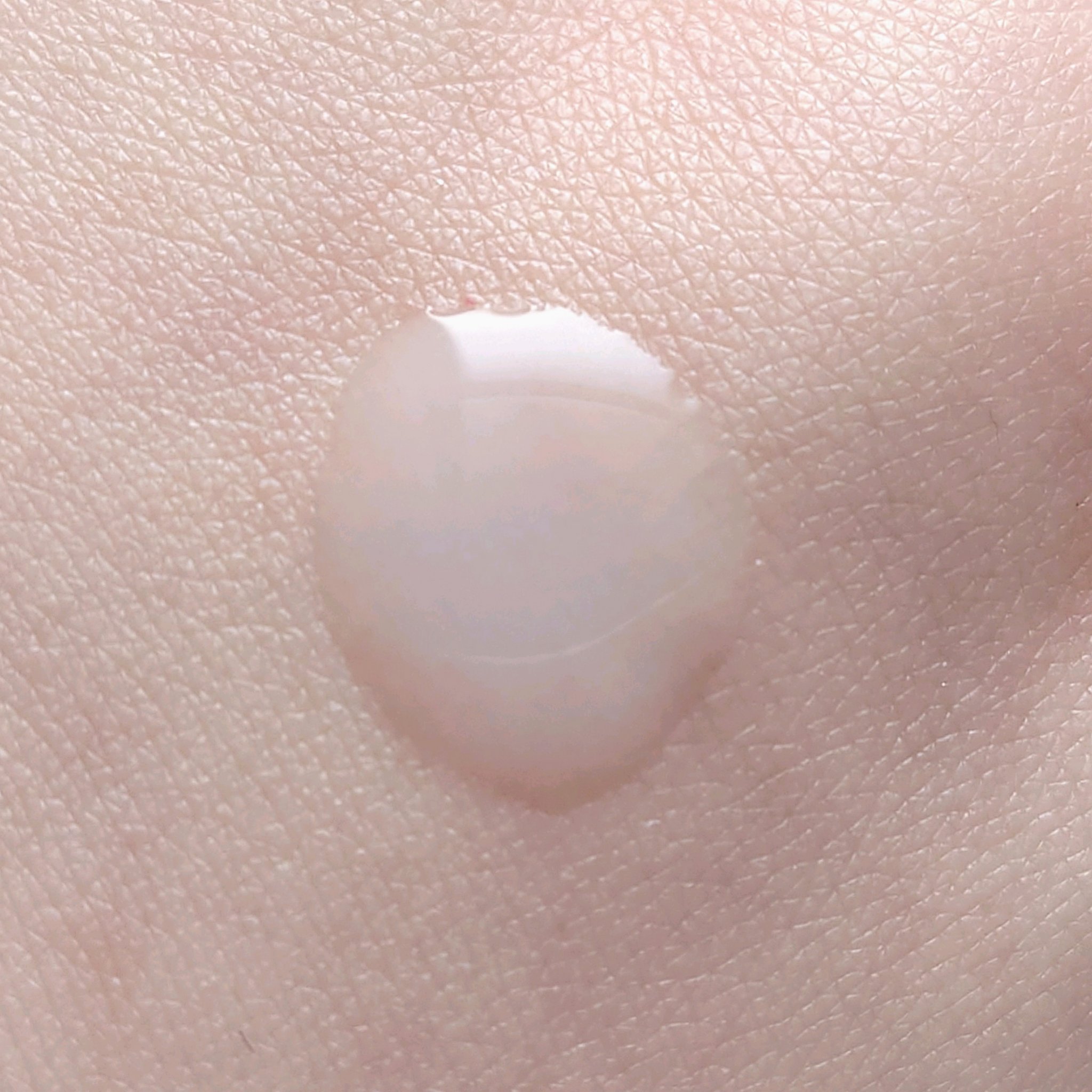  薬用スキンコンディショナーエッセンシャル N/ALBION/化粧水を使ったクチコミ（2枚目）