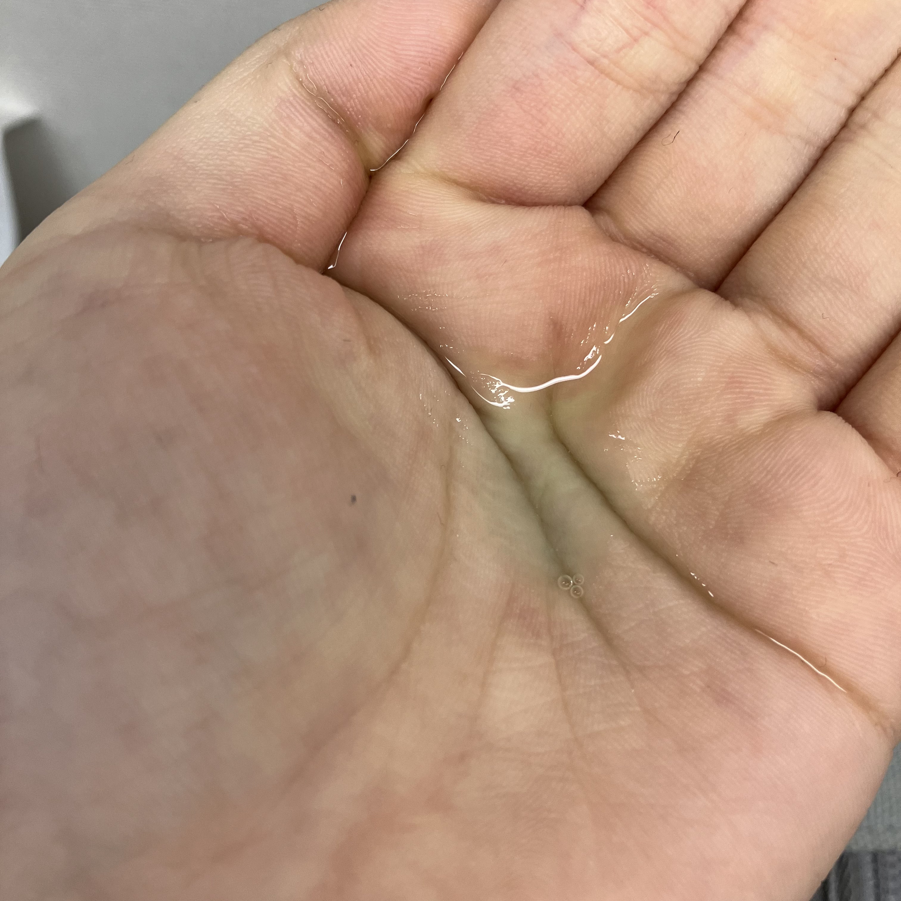 PDRNヒアルロン酸カプセル100セラム/Anua/美容液を使ったクチコミ（3枚目）