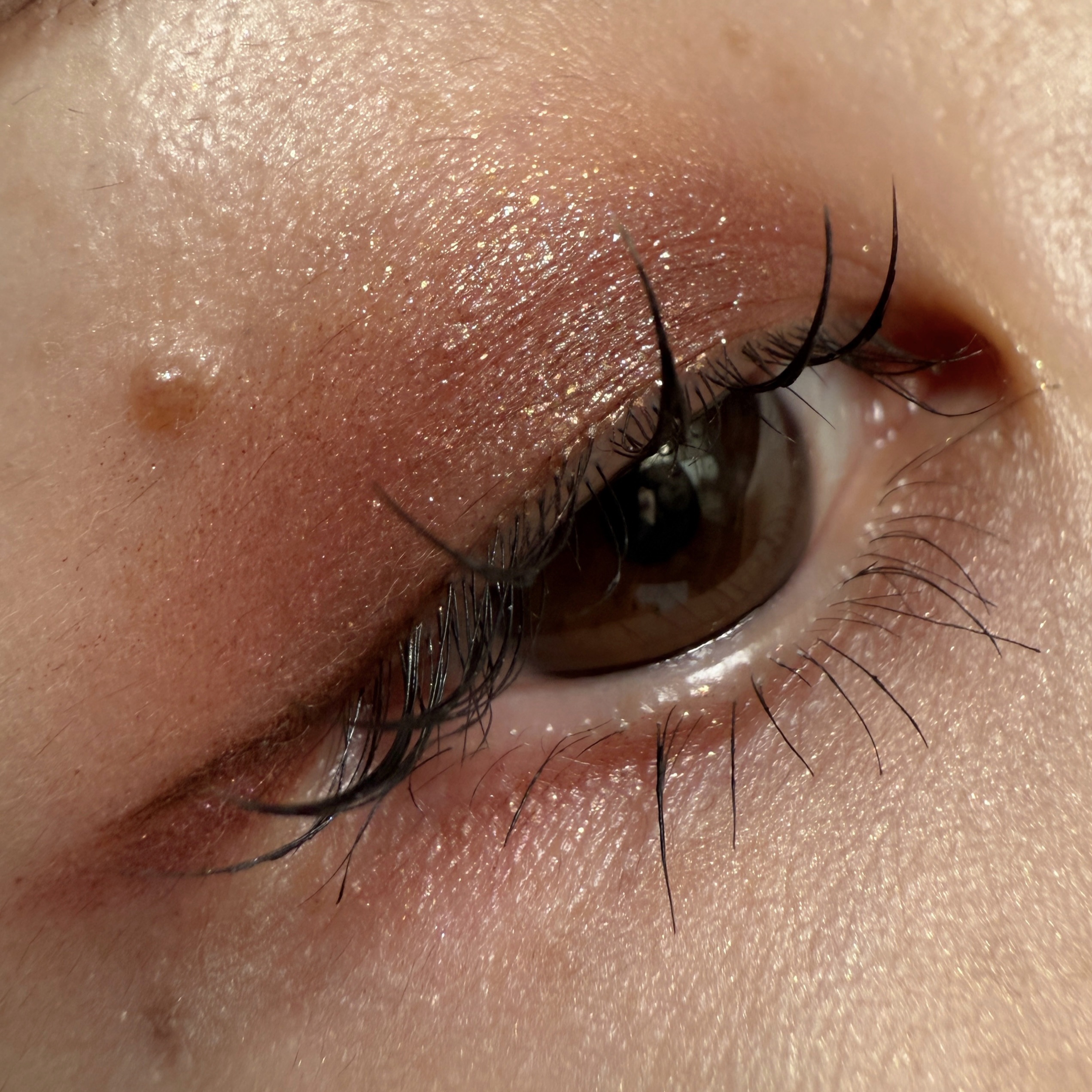 白夜と極夜シリーズシングルアイシャドウ/FlowerKnows/単色アイシャドウを使ったクチコミ（2枚目）