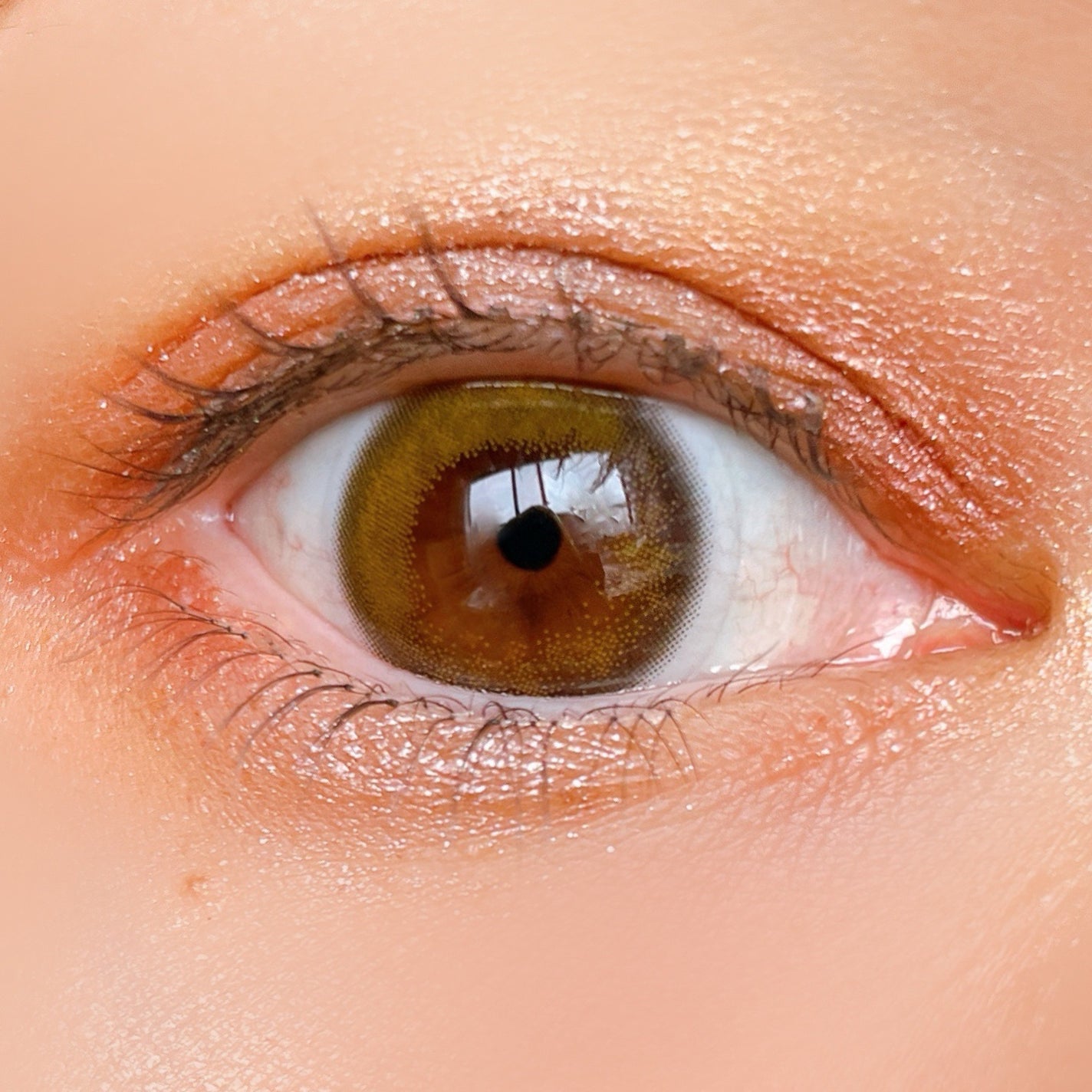 6色アイシャドウパレット/and us/アイシャドウパレットを使ったクチコミ(4枚目)