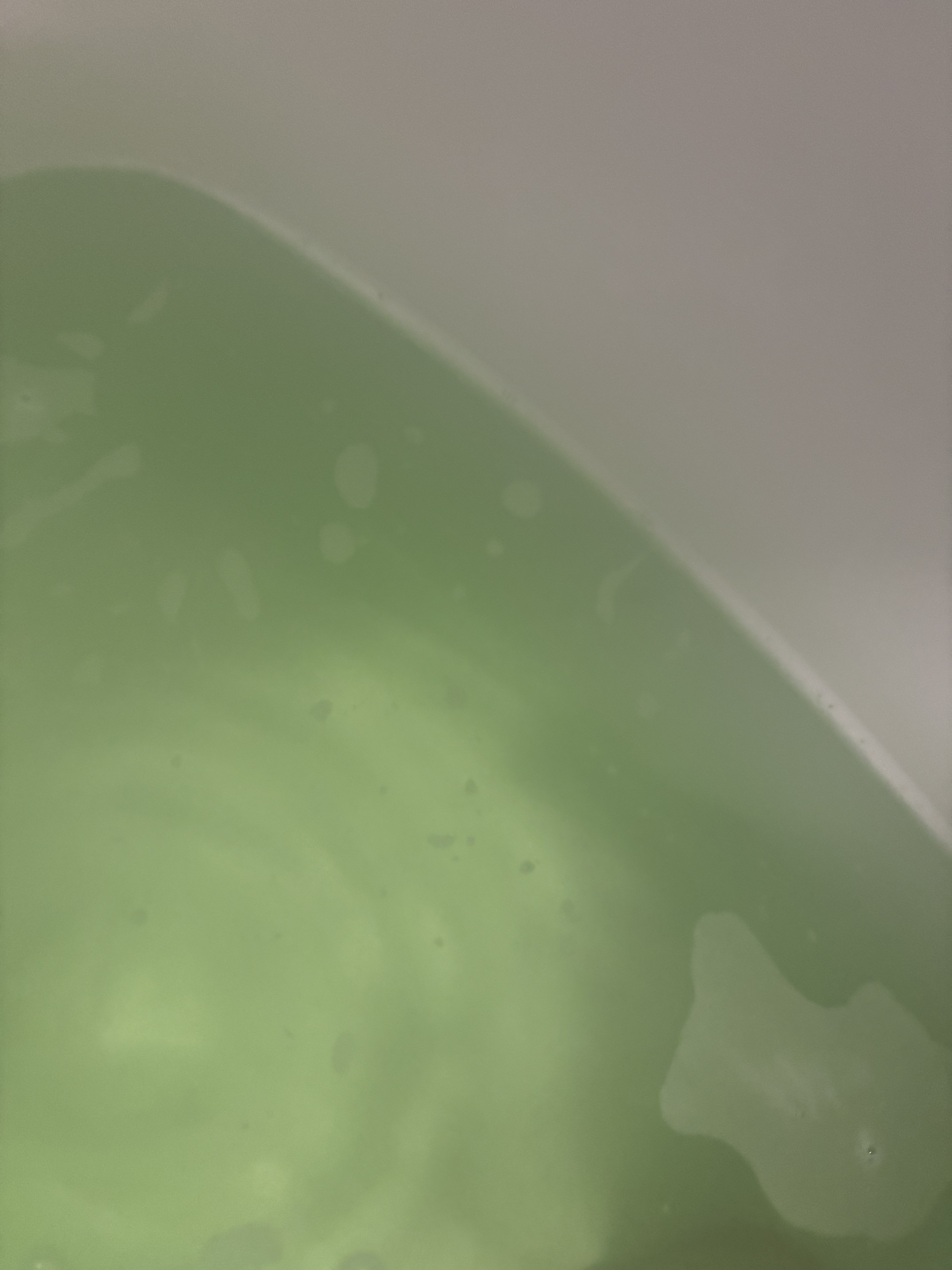 白元アース HERSバスラボクール 涼やか月夜のバスタイムのクチコミ「気持ちいい癒しの湯♨️

今日はユーカリ🌱


ヒアルロン酸、ビタミンC配合☺︎..」（2枚目）