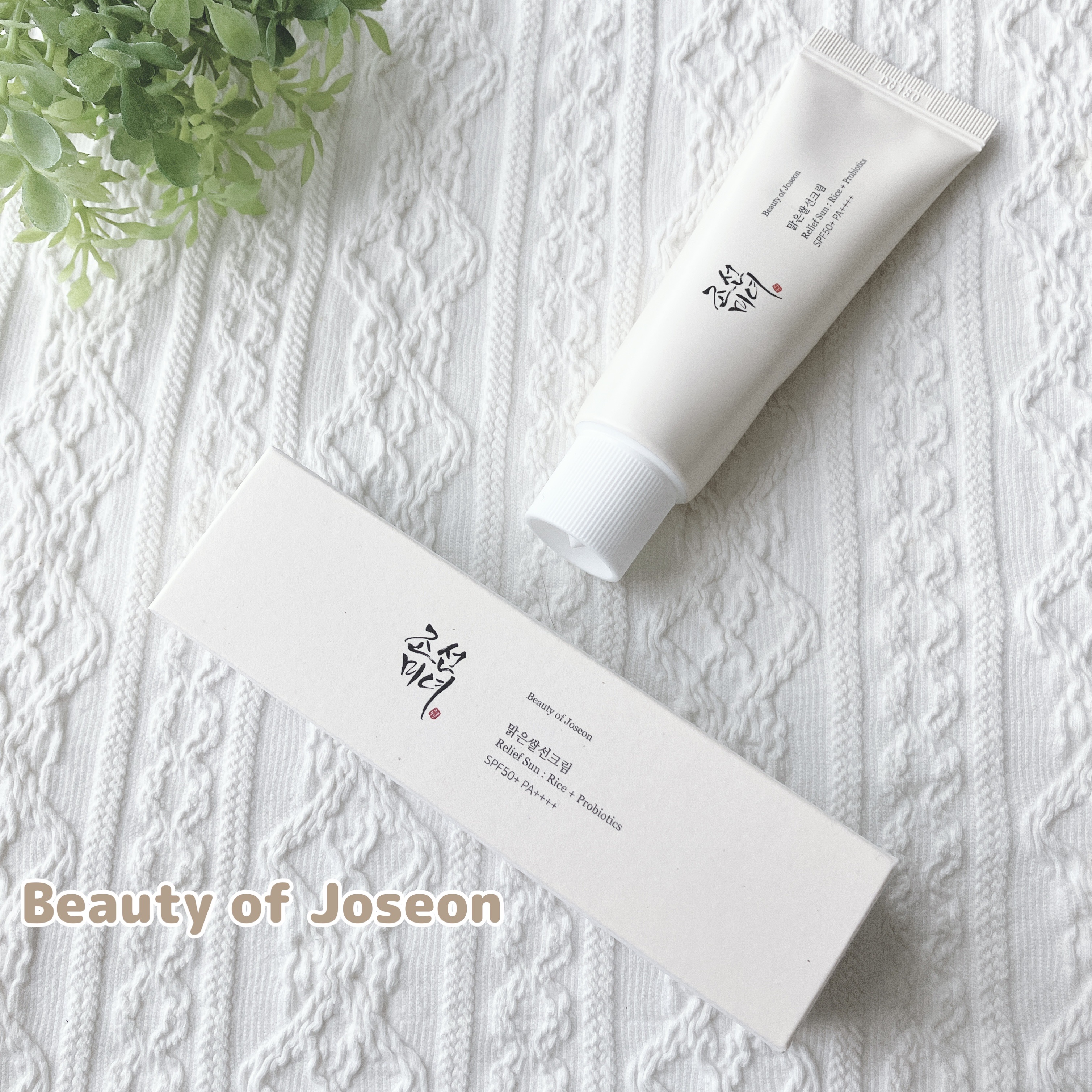 米サンクリーム/Beauty of Joseon/フェイスクリームを使ったクチコミ（1枚目）