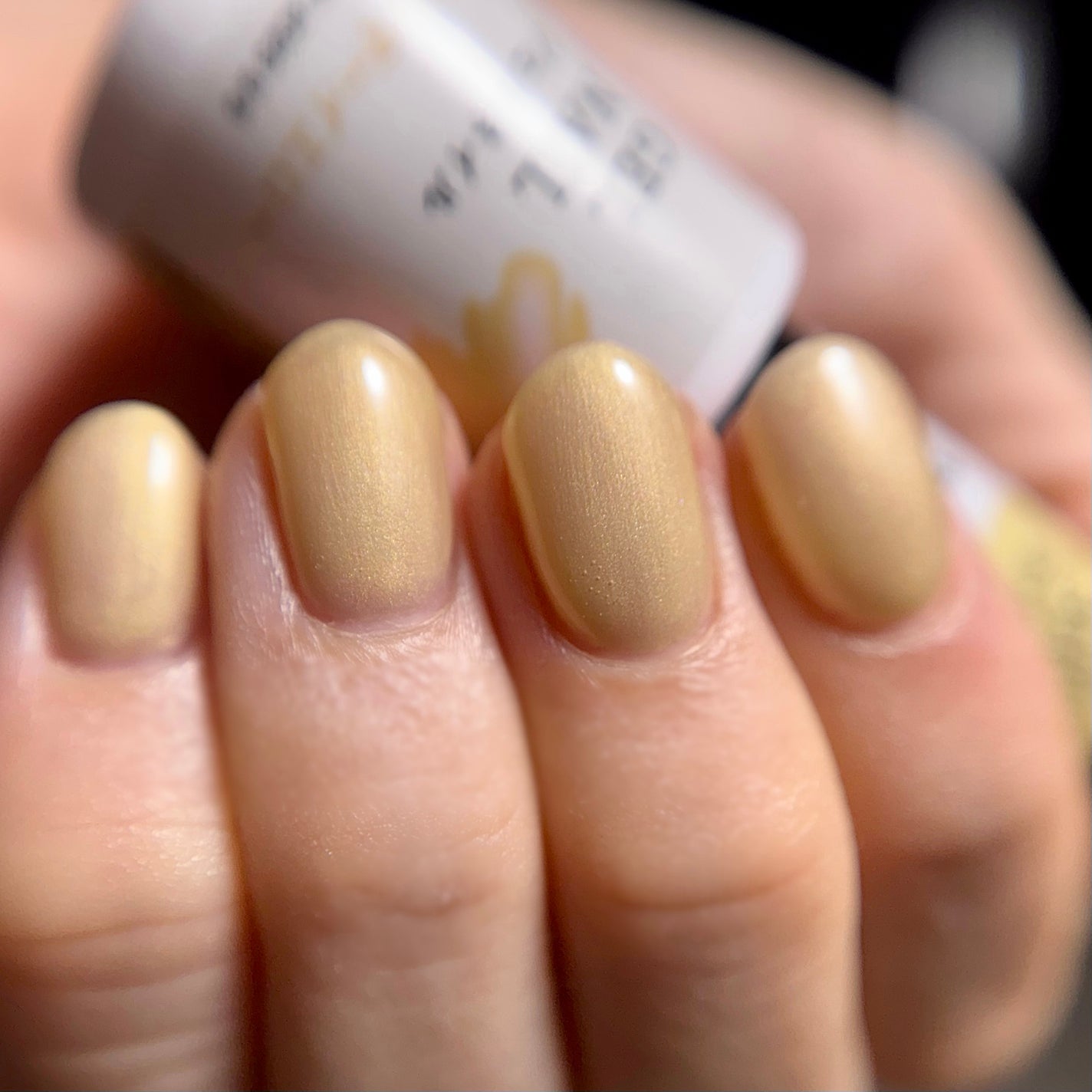 TGCジェルネイル/DAISO/ジェルネイルを使ったクチコミ(1枚目)