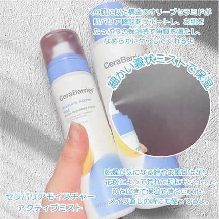 セラバリア モイスチャーアクティブ トナー /HOLIKA HOLIKA/化粧水を使ったクチコミ(4枚目)