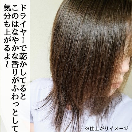 アンドペア コントロール リペア 2in1 シャンプー&ヘアトリートメント/&PAIR/市販シャンプーを使ったクチコミ(6枚目)