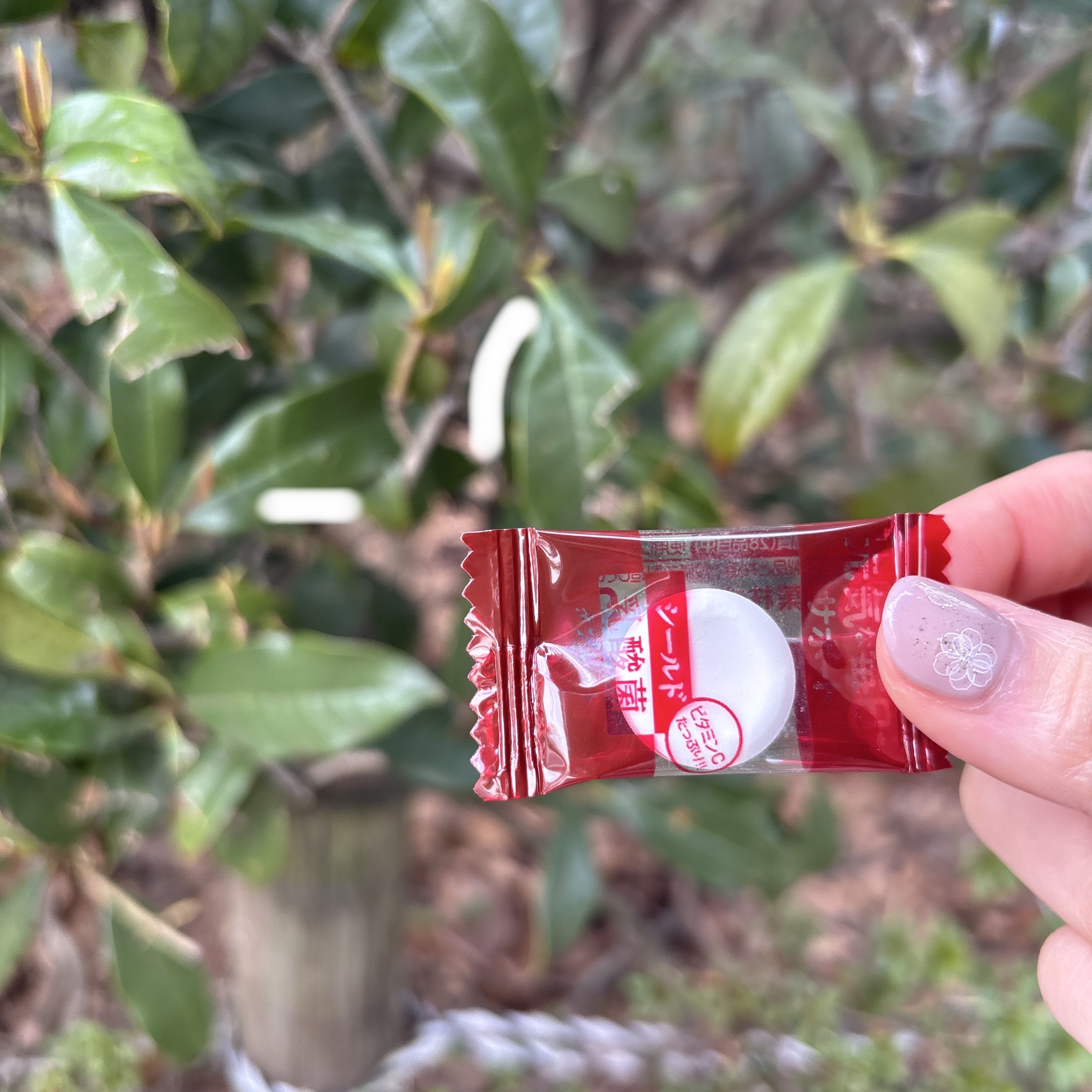 食べるシールド乳酸菌タブレット/森永製菓/食品を使ったクチコミ（2枚目）