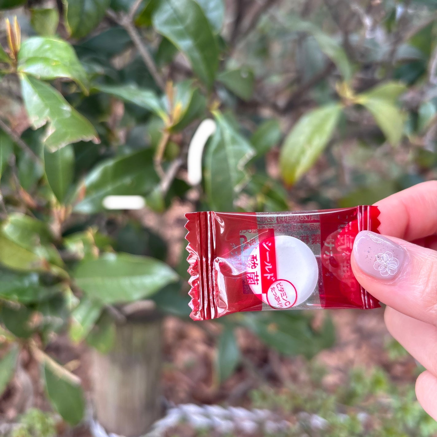 食べるシールド乳酸菌タブレット/森永製菓/食品を使ったクチコミ(2枚目)