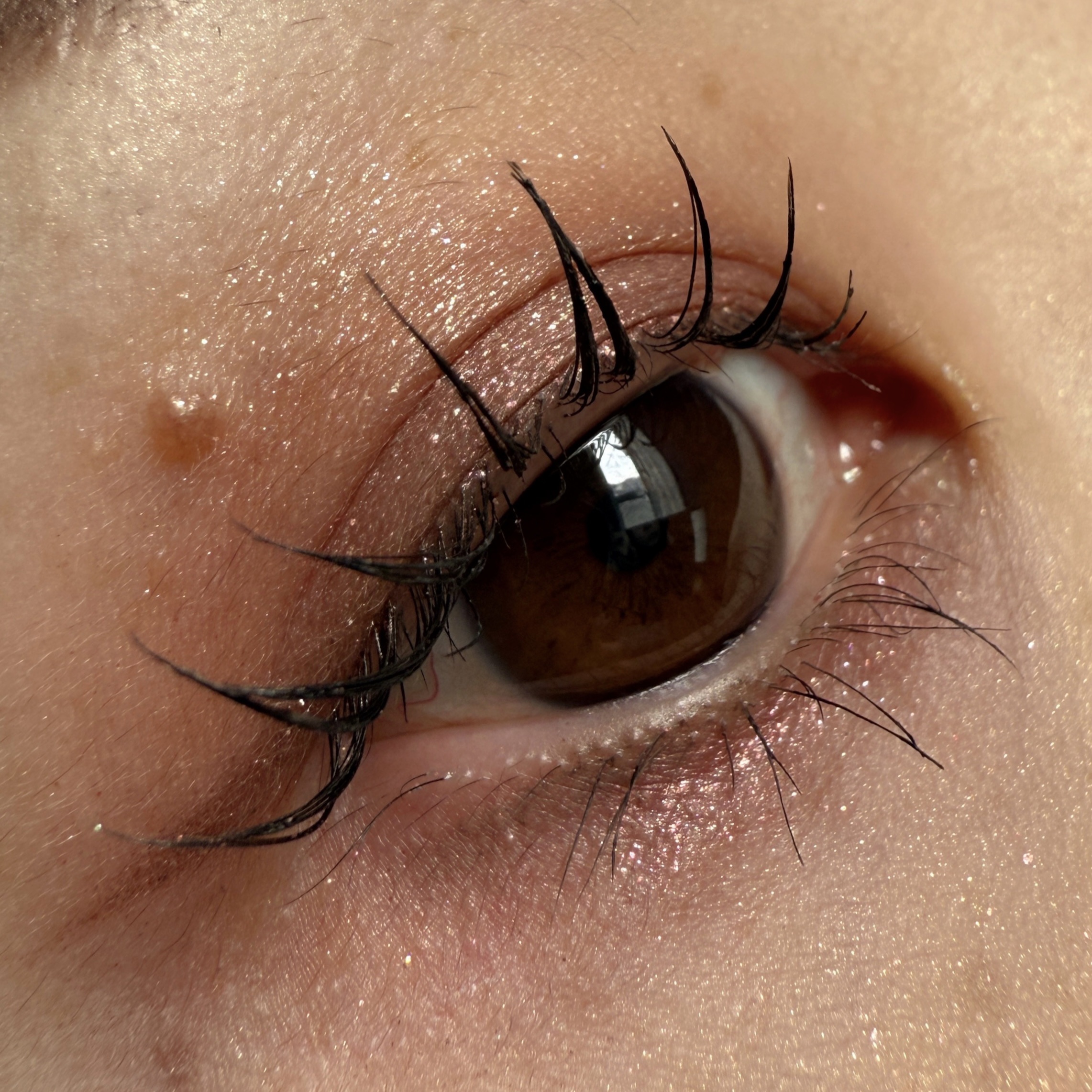 アイカラーパレット/AMUSE/アイシャドウパレットを使ったクチコミ（1枚目）