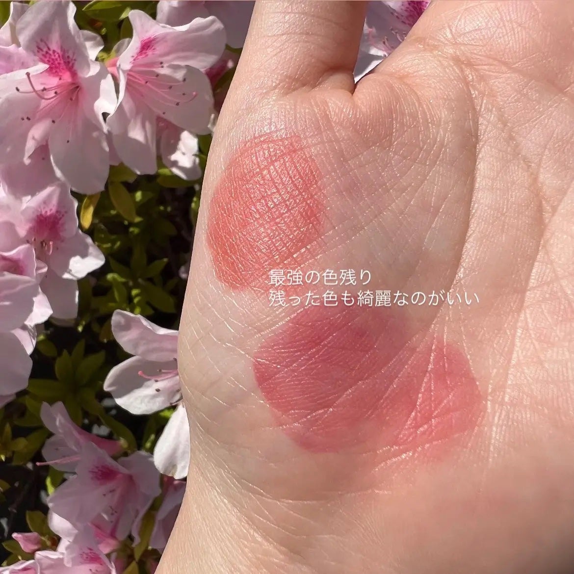 ジューシーデューイグロウティント/dasique/リップティントを使ったクチコミ(4枚目)