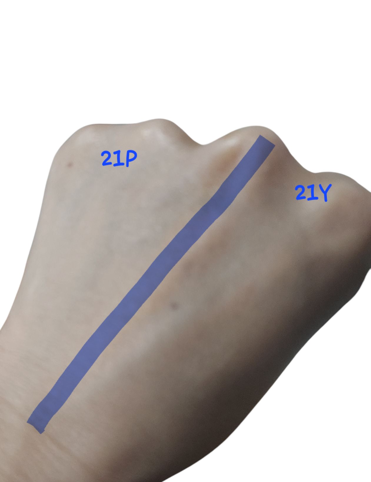 ネーミング ゼログラビティ カバーフィットクッション/NAMING./クッションファンデーションを使ったクチコミ（2枚目）