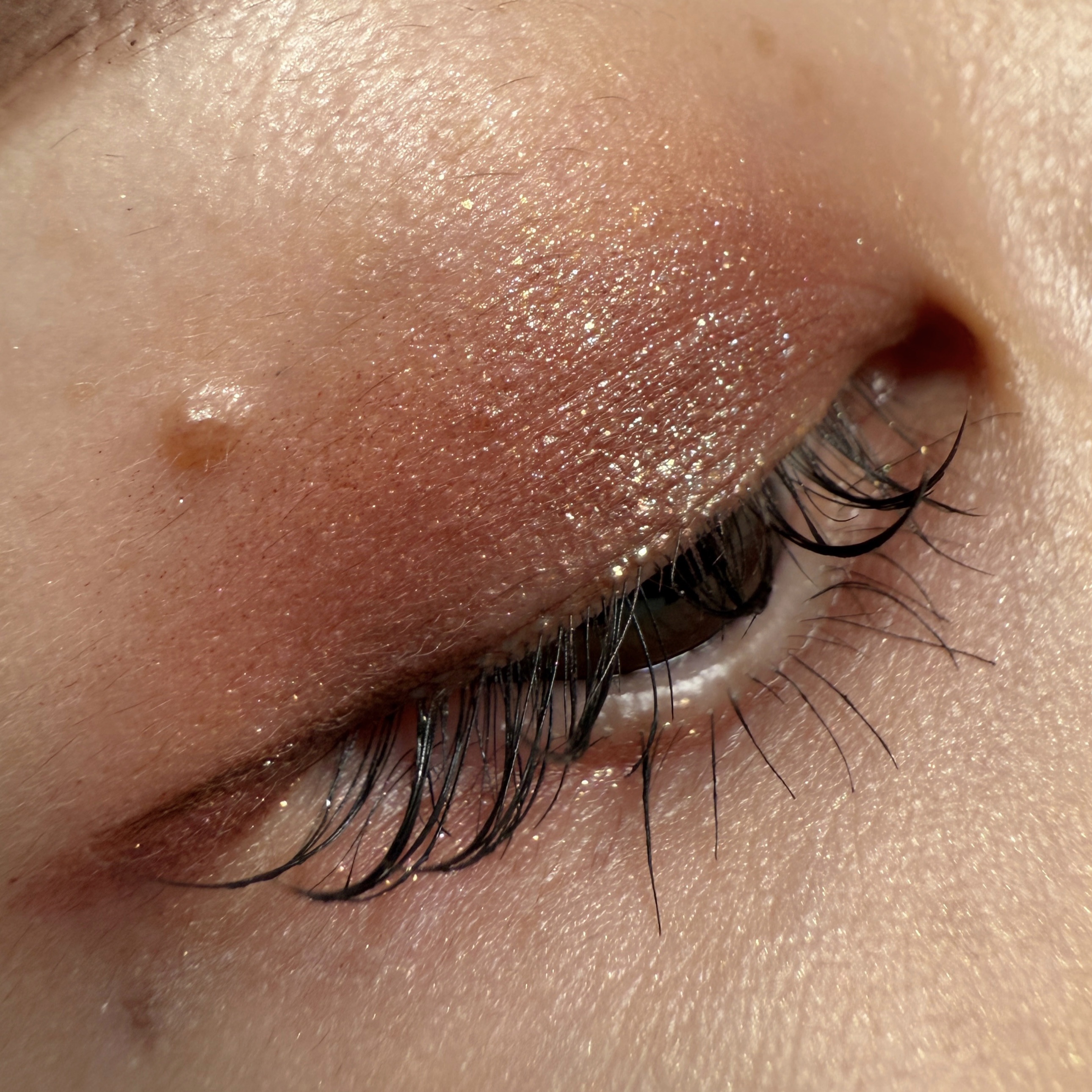 白夜と極夜シリーズシングルアイシャドウ/FlowerKnows/単色アイシャドウを使ったクチコミ（3枚目）